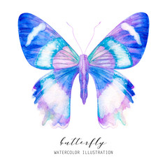 Watercolor butterfly. Isolated on white background colorful abstract illustration