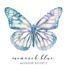 Watercolor butterfly. Isolated on white background colorful abstract illustration