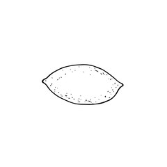 Lemon, vector illustration, hand drawing