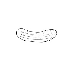 Cucumber, vector illustration, hand drawing