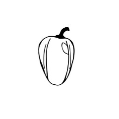 Bell pepper, vector illustration