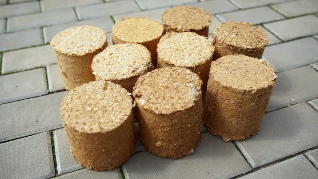 Wood Chip Biofuel Pellets Arranged on the Floor
