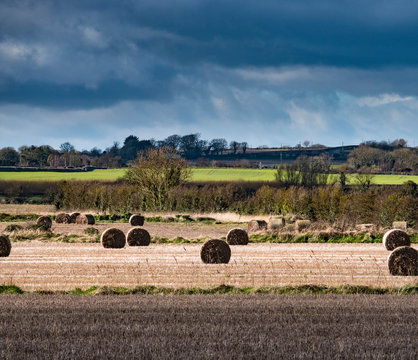 Round hay bales in lush Irish landscape