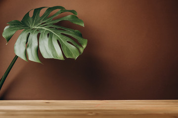 Exotic tropical Monstera leaf on solid wooden table on pastel brown wall. Creative blog or social media background. Mock up.