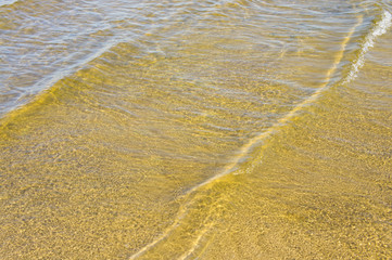 Sandy bottom of a river shot on a sunny spring day. Background for clear water.