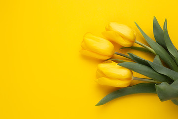 Colorful photo of fresh spring flower tulips over yellow background. Happy Easter and Mothers Day card.