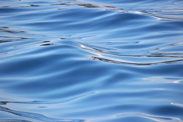 Reflection in the sea