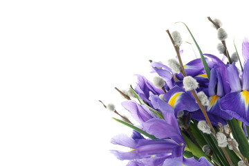 Iris flowers and pussy willow branches isolated on white background © Atlas