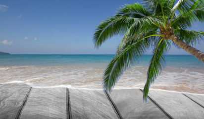 Wood on the beach with palm tree and sky background