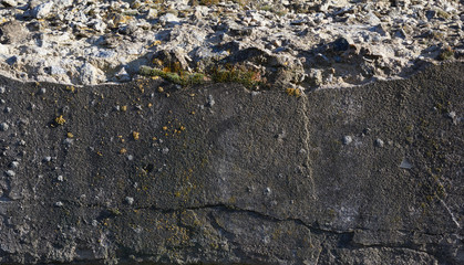 texture of gray cracked cement, element for the designer, full frame