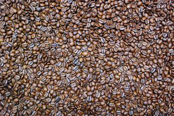 敷き詰めたコーヒー豆