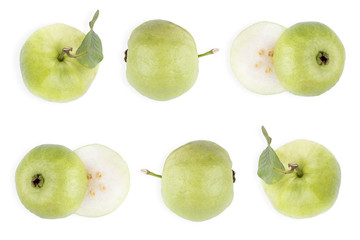Collection of green guava. Tropical abstract background. Guava isolated on white background.