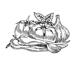 Composition of tomatoes, pepper, garlic, basil in line art  style. Good ingredients for gazpacho.