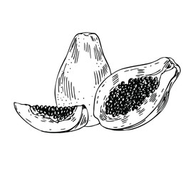 Papaya fruit with half and slice in line art style.