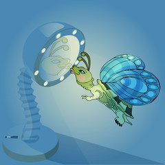 fantasy animal, a hybrid of a turtle and a butterfly.