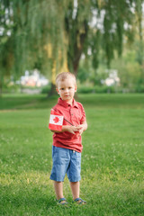 Caucasian baby toddler boy standing on green grass in park outside and holding waving a Canadian flag. Kid child citizen celebrating Canada Day on 1st of July.