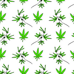 Stylish vector pattern. Flowering bushes of cannabis. Organic marijuana for medicine and relaxation. Isolated green herb on a white background.