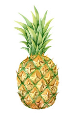 Watercolor illustration of a cute pineapple. Exotic tropical fruits hand drawn. Vegan food.