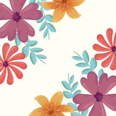 colorful and beautiful flowers over white background