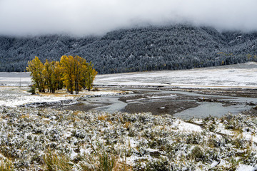 The Lamar river with some colorful trees