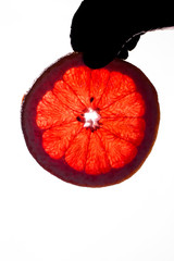 Hand in black gloves holding fresh grapefruit slice on white background.