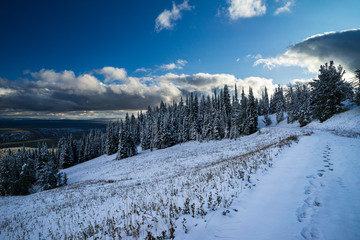 View to yellowstone gorge from the trail to mt Washburn in fall 2019