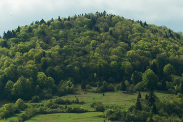 Obraz premium the mountain is covered with forest at the foot of which is a me