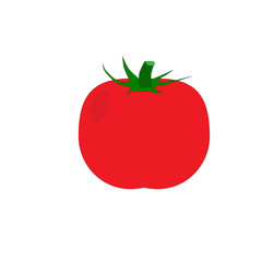 Tomato. Isolated vegetables. Vector illustration