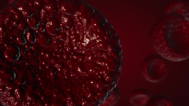 Red Blood Cells Moving in the Blood Stream, in an Artery. 