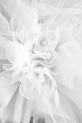 Closeup detail of the ballerina white tutu dress - obrazy, fototapety, plakaty