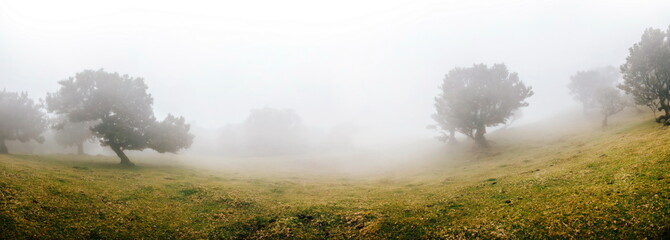Mystical forest © BGStock72