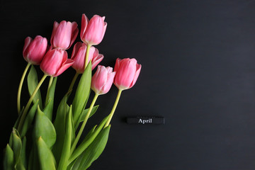 April word and pink tulips, on black background. Spring concept.
