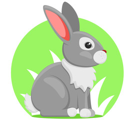 Hare sits on a background of green grass.