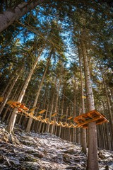 Rope Park in forest in Krkonose. Recreation, entertainment, adrenaline sport. Climbing rides, zipline, rope snowboard. playing sports in nature. Pec pod Snezkou.