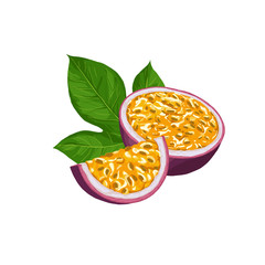 Hand drawn colorful passion fruit. Set sketches with cut passion fruit and leaf. Vector illustration isolated on white background.