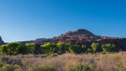 View on Marble canyon, red mountains and green vegetation