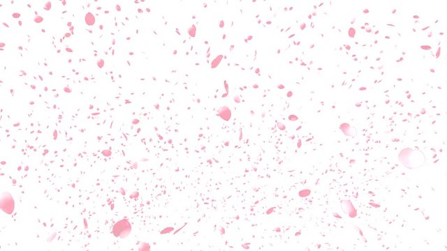 Cherry Blossoms, Pink Flower, Spring Season Background