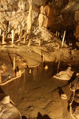 Postojna Cave