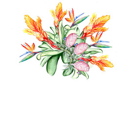Beautiful tropical flower botany art illustration