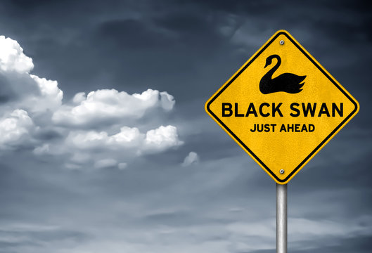 Black Swan - impact of the highly improbable roadsign message