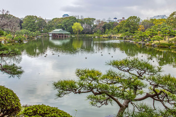 Fototapeta na wymiar Japanese garden Kiyosumi Teien