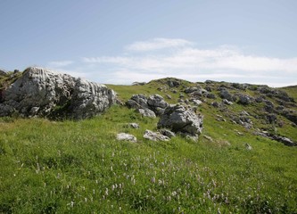 Fototapeta na wymiar Mountain Top Meadows and Rocks