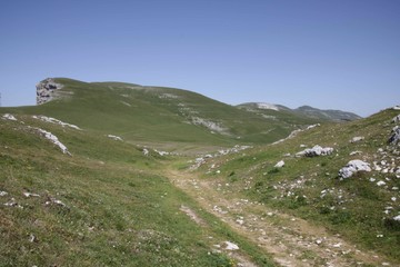 Fototapeta premium Mountain Top Path and Meadows