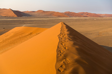 Fototapeta na wymiar Footprints on the crest of Dune 45 at Sossusvlei, Namibia