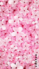 Blossoming pink sakura flowers background. Beautiful print © writerfantast