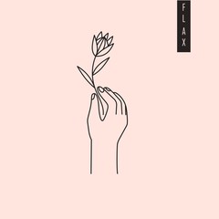 Vector illustration of hand holding flax plant with seeds isolated on pink background. Linseed drawing for medicine, culinary or nutritional supplement label, logo, emblem, print design.