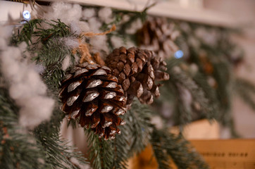 Fototapeta premium wallpaper with decorative cones and branches