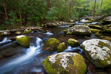 Early spring morning on the Middle Prong of the Little River, Smoky Mountains National Park, Tennessee.