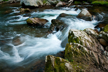 Fototapeta na wymiar The Middle Prong of the Little River swells with spring runoff in Great Smoky Mountain National Park.