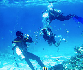 diver swimming underwater near tropical fishes and takes a picture with camera